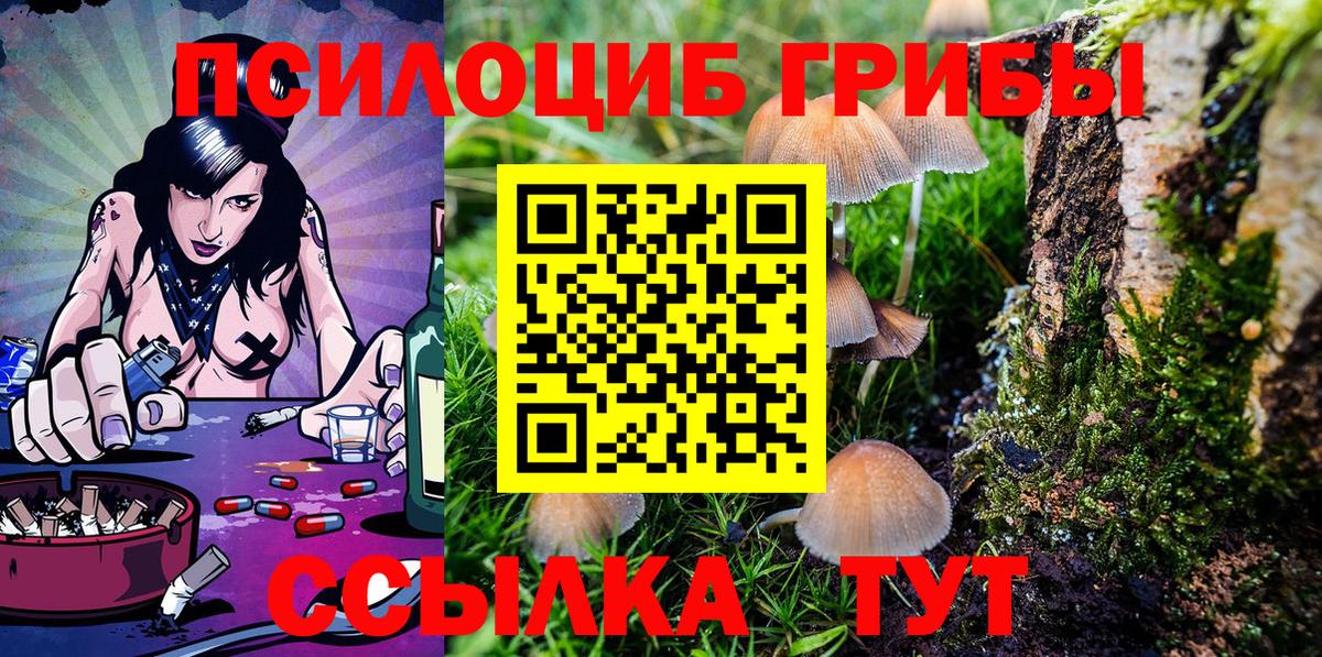 Галлюциногенные грибы Psilocybine cubensis Касимов