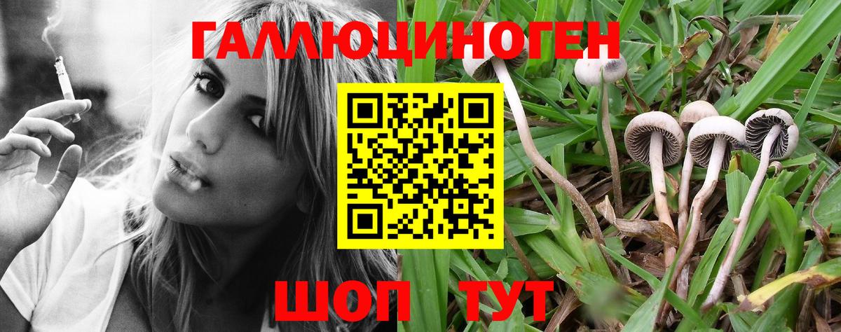 Псилоцибиновые грибы мухоморы  Вход с VPN  Касимов 